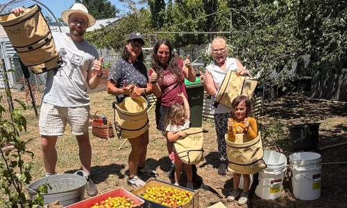 From Backyard Fruit to Food Relief.